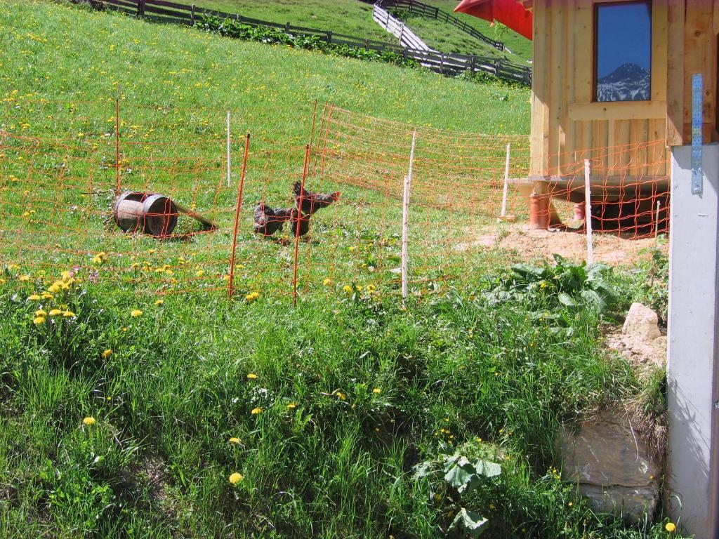 Oberauhof Villa ไคลนาร์ล ภายนอก รูปภาพ